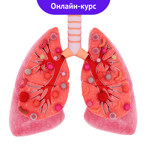 Профилактика и лечение заболеваний дыхательной системы