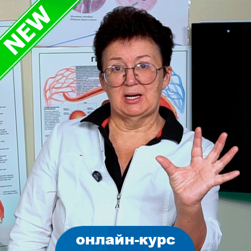 olgashishova.ru