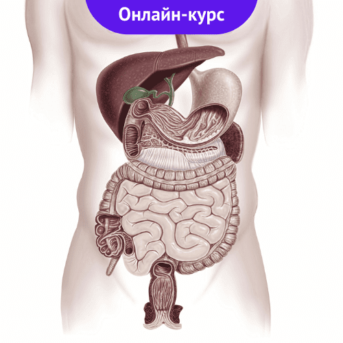 Профилактика болезней желудочно-кишечного тракта